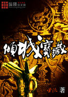 倾城宝藏全文阅读