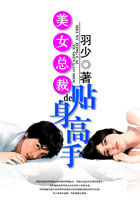 美女总裁的贴身高手全文阅读
