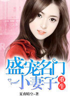 重生：盛宠名门小妻子