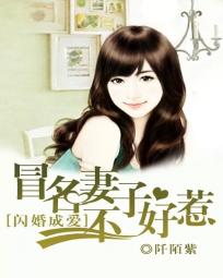 闪婚成爱：冒名妻子不好惹全文阅读