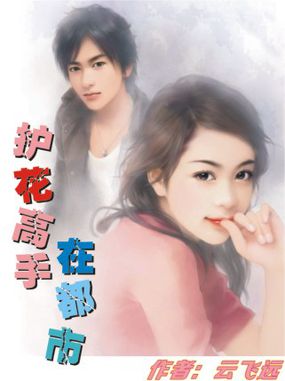 《护花高手在都市》txt全文阅读