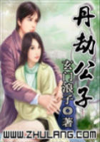 丹劫公子全文阅读