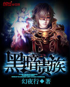 《黑暗贵族》txt全文阅读