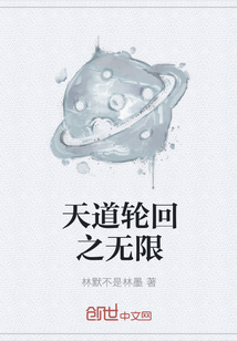 天道轮回之无限