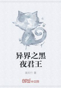 异界之黑夜君王