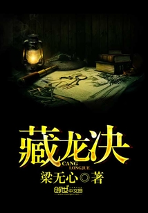 藏龙决