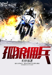 孤狼佣兵