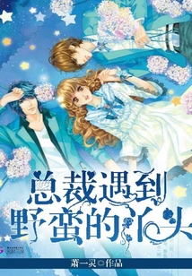 总裁遇到野蛮的丫头