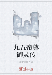 九五帝尊御灵传