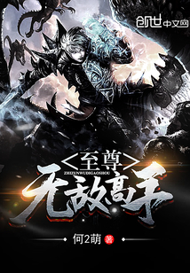 至尊无敌高手