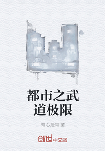 都市之武道极限