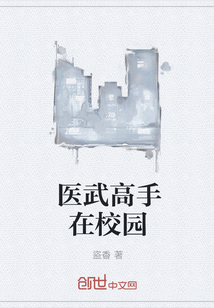 医武高手在校园