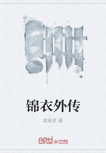 锦衣外传