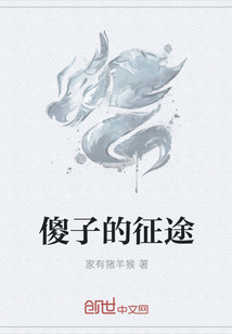 傻子的征途