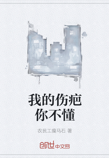 我的伤疤你不懂