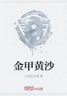 金甲黄沙