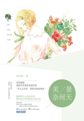 美景奈何天全文阅读