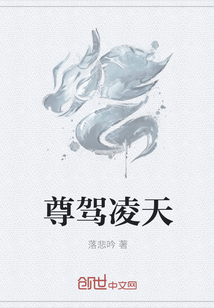 尊驾凌天