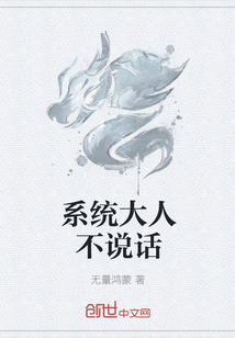 系统大人不说话