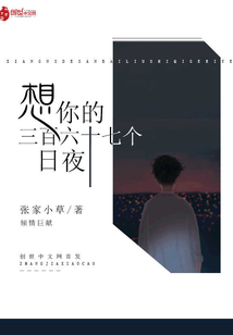 想你的三百六十七个日夜