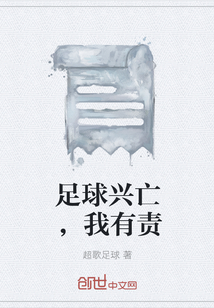 足球兴亡，我有责