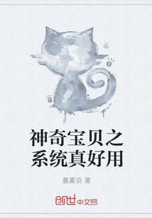 神奇宝贝之系统真好用