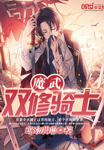 魔武双修骑士