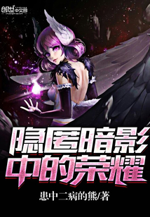 隐匿暗影中的荣耀