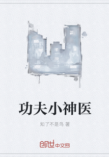 功夫小神医