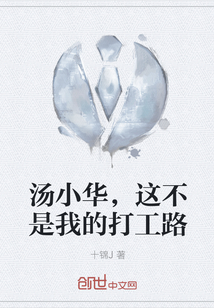汤小华，这不是我的打工路