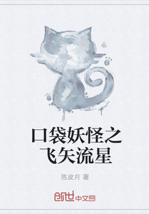 口袋妖怪之飞矢流星