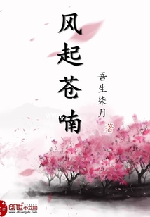 风起苍喃