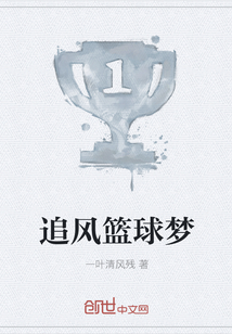 追风篮球梦