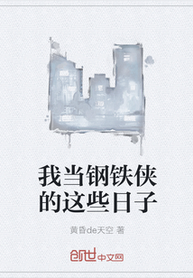 我当钢铁侠的这些日子