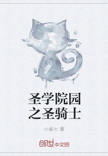 圣学院园之圣骑士
