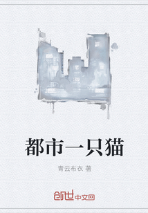 都市一只猫