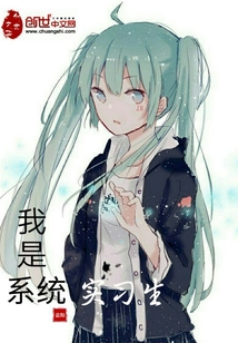我是系统实习生