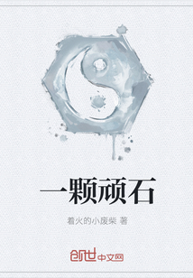 一颗顽石
