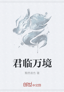 君临万境