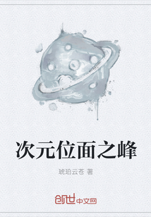 次元位面之峰