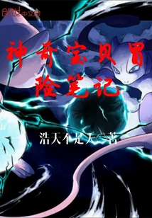 神奇宝贝冒险笔记