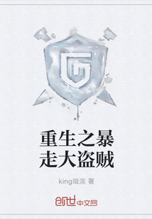 重生之暴走大盗贼