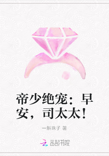 帝少绝宠：早安，司太太！