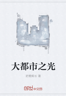 大都市之光