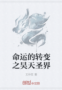 命运的转变之昊天圣界