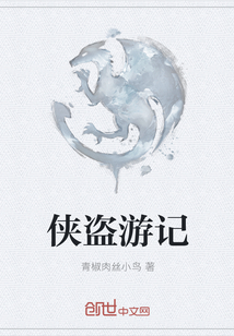 侠盗游记