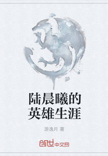 陆晨曦的英雄生涯