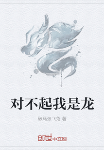 对不起我是龙