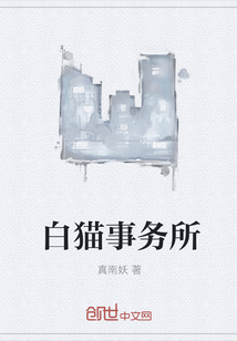 白猫事务所