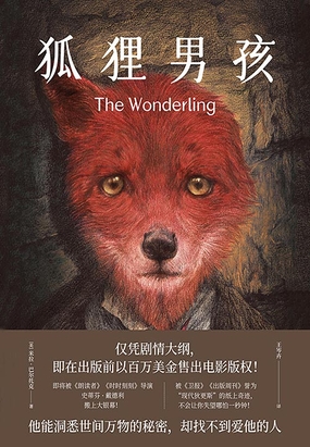 狐狸男孩